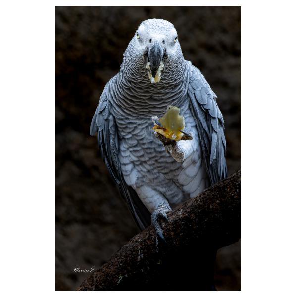 PHOTO84, CLUB, 84 , LUBERON